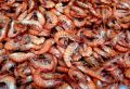 15 Seafood Shrimp