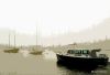 Falmouth Harbor Mist CJ